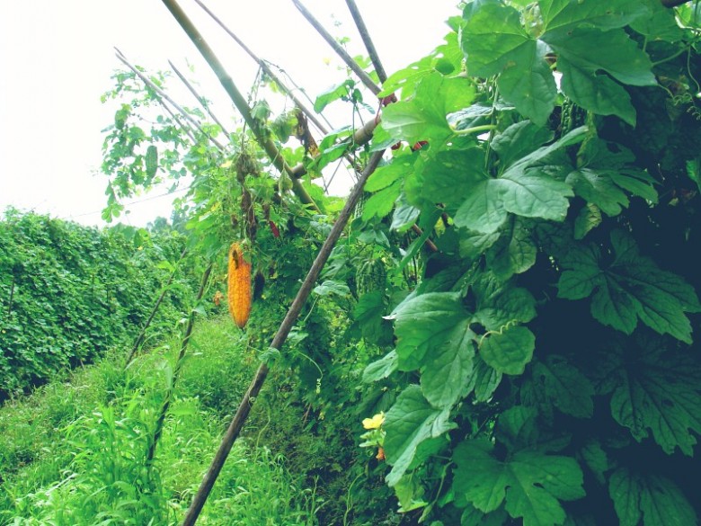 DSC03010_.JPG