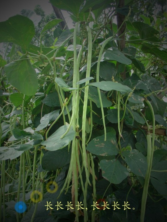 DSC03011_.JPG