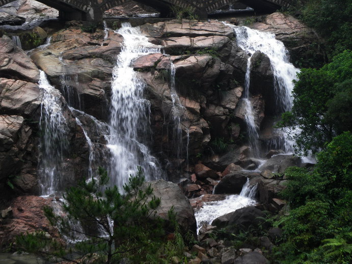 P5290923_СС.JPG