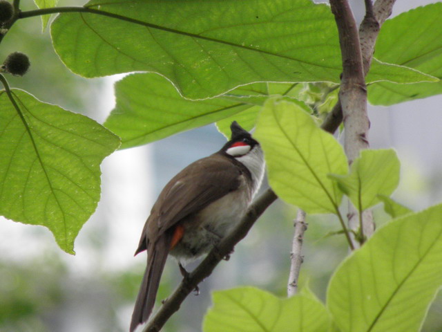 P5030266_СС.JPG