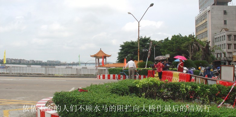 DSC03354_.JPG