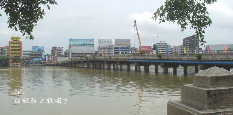 DSC03343_.JPG