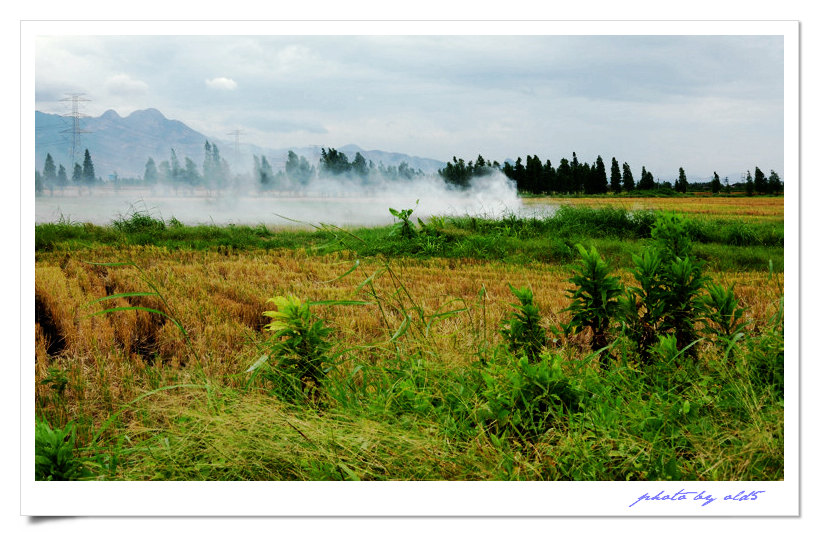 DSC_0064s.jpg