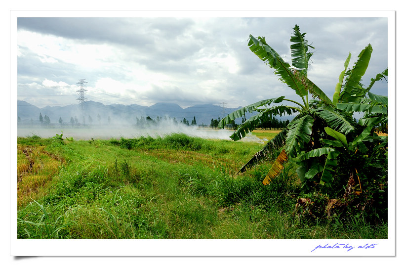 DSC_0066s1.jpg