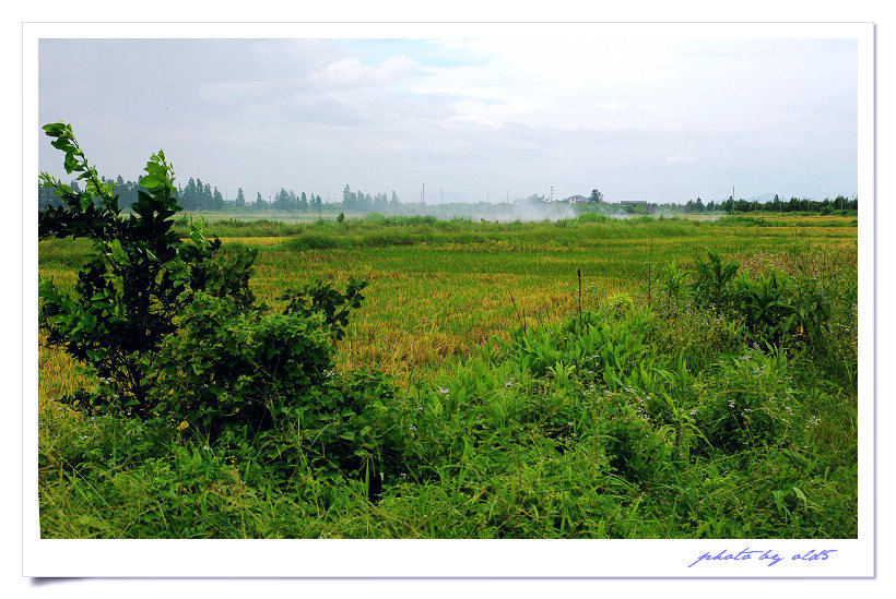 DSC_0063s.jpg