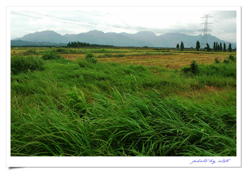 DSC_0061s.jpg