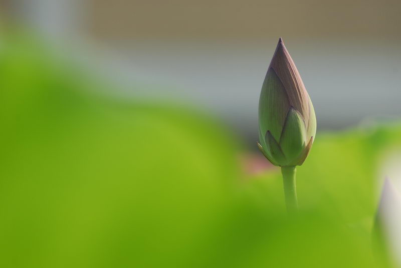_DSC8494_СС.jpg