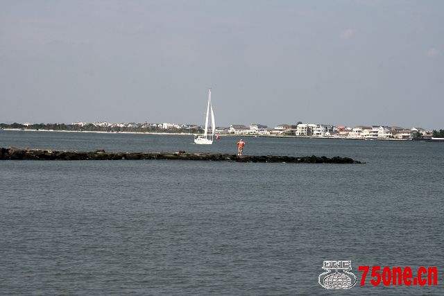 IMG_5628.jpg
