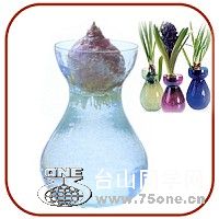 bulbs-vase_hyacinth-mid.jpg