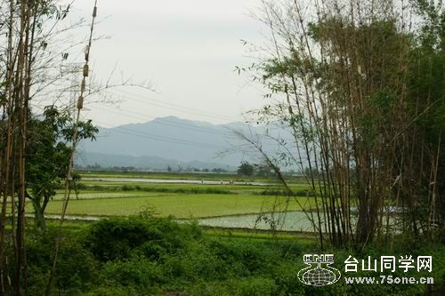 С DSC00544.JPG