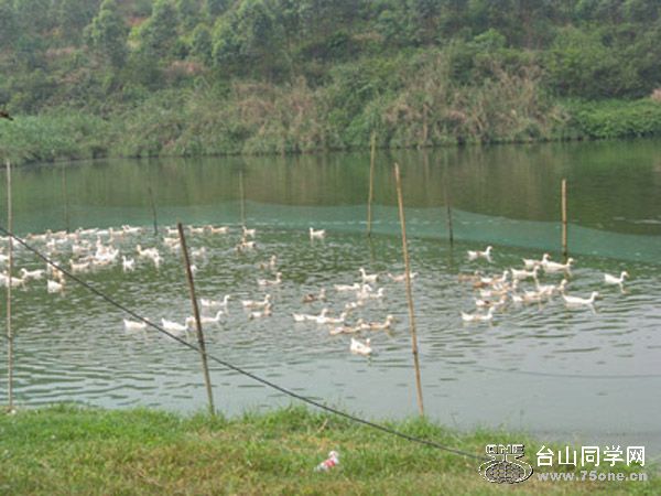 Ƭ10k 075.jpg