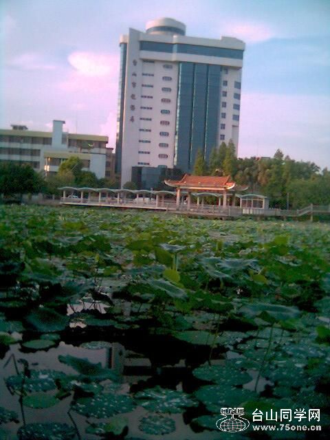 0624_062042.JPG