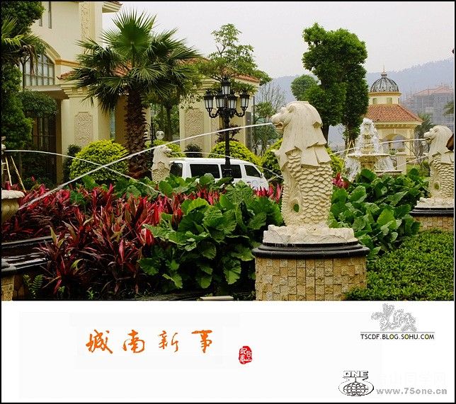 DSCF0029_conew1.jpg