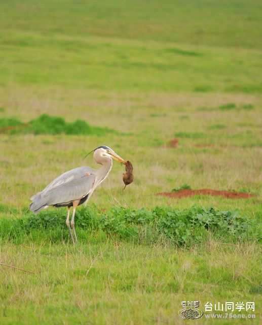 DSC_0105.JPG