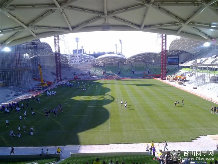 mcg20 (Custom).jpg