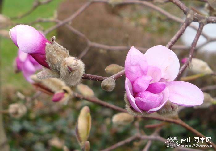 DSC08903.JPG