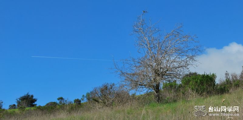 DSC_0089-1.JPG