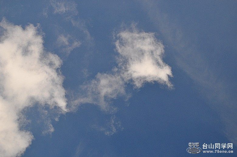 DSC_0600_.jpg