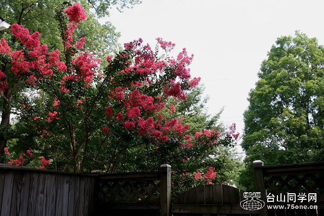 IMG_8623_1.jpg
