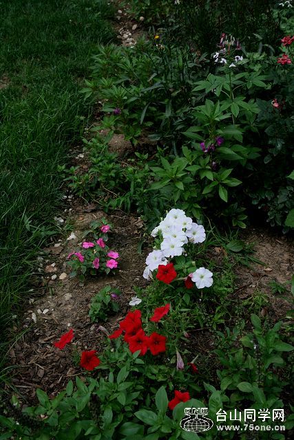 IMG_8624_1.jpg