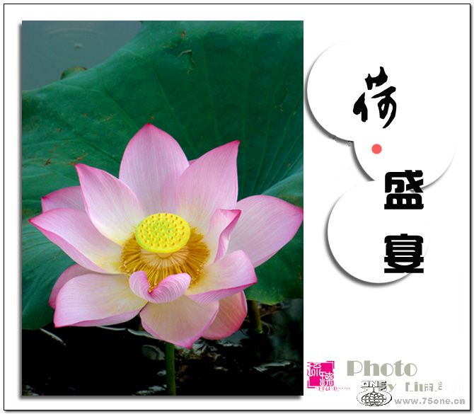 &#8226;ʢ硷1.jpg
