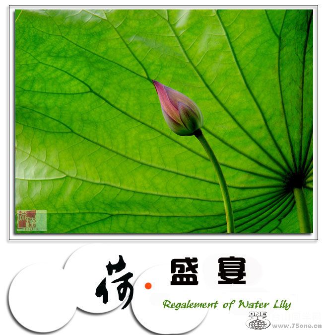 &#8226;ʢ硷2.jpg