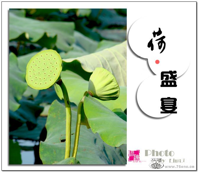 &#8226;ʢ硷5.jpg