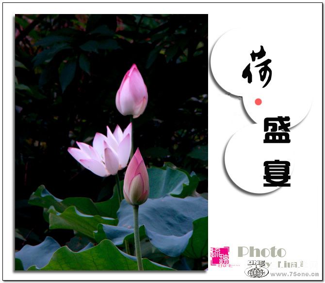 &#8226;ʢ硷11.jpg