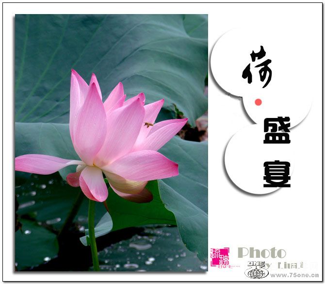 &#8226;ʢ硷13.jpg
