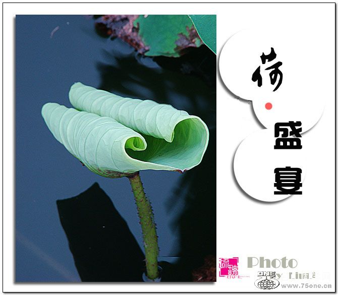 &#8226;ʢ硷15.jpg