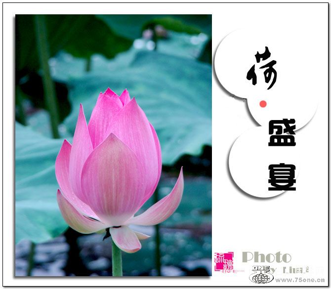 &#8226;ʢ硷17.jpg