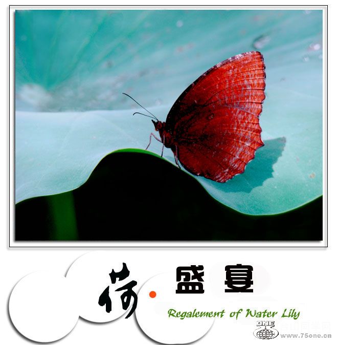 &#8226;ʢ硷20.jpg