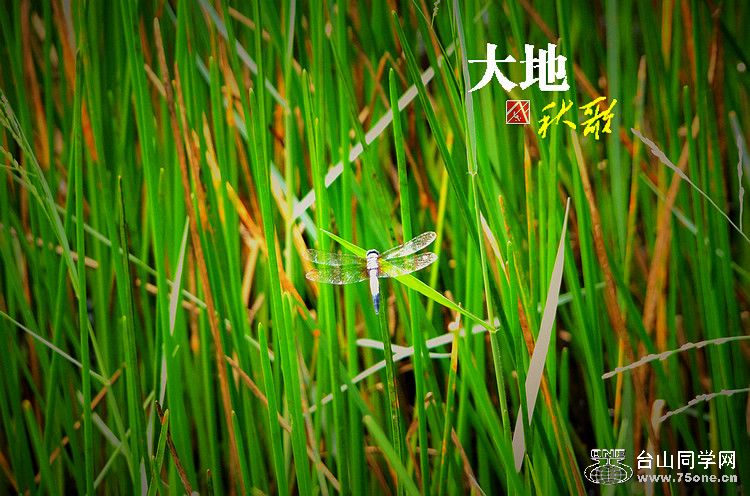 DSCF2345.jpg
